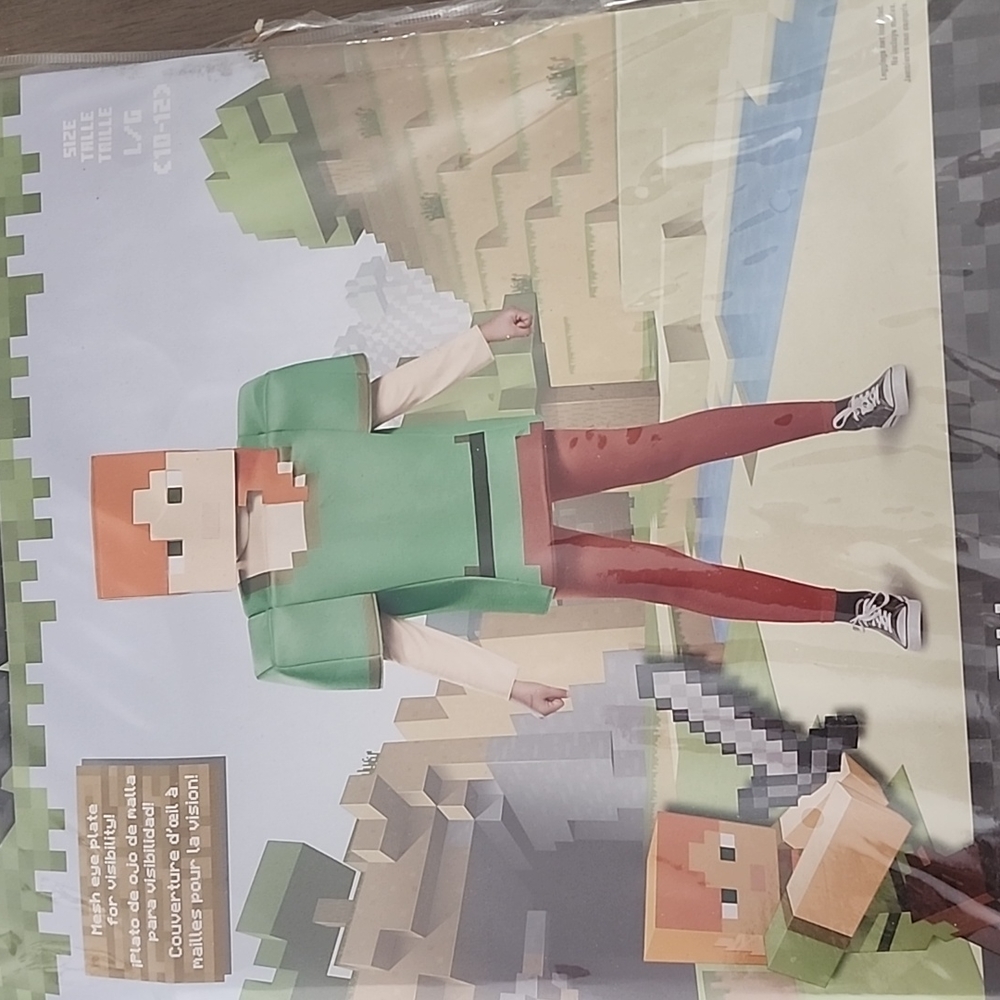Minecraft costume size 10